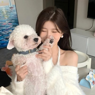 黑社会的墓场:腐朽之花